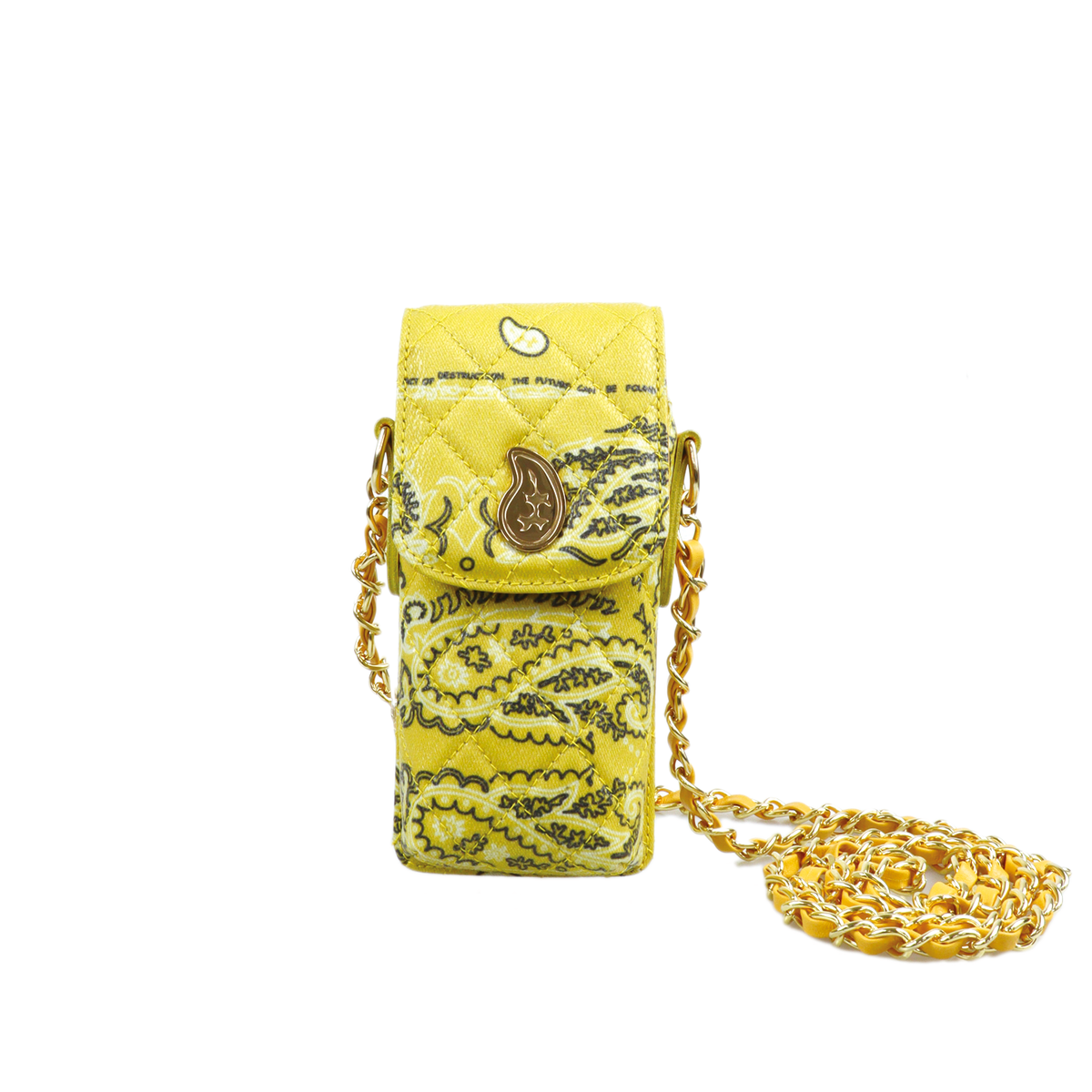 Paisley Eyewear Chain Bag