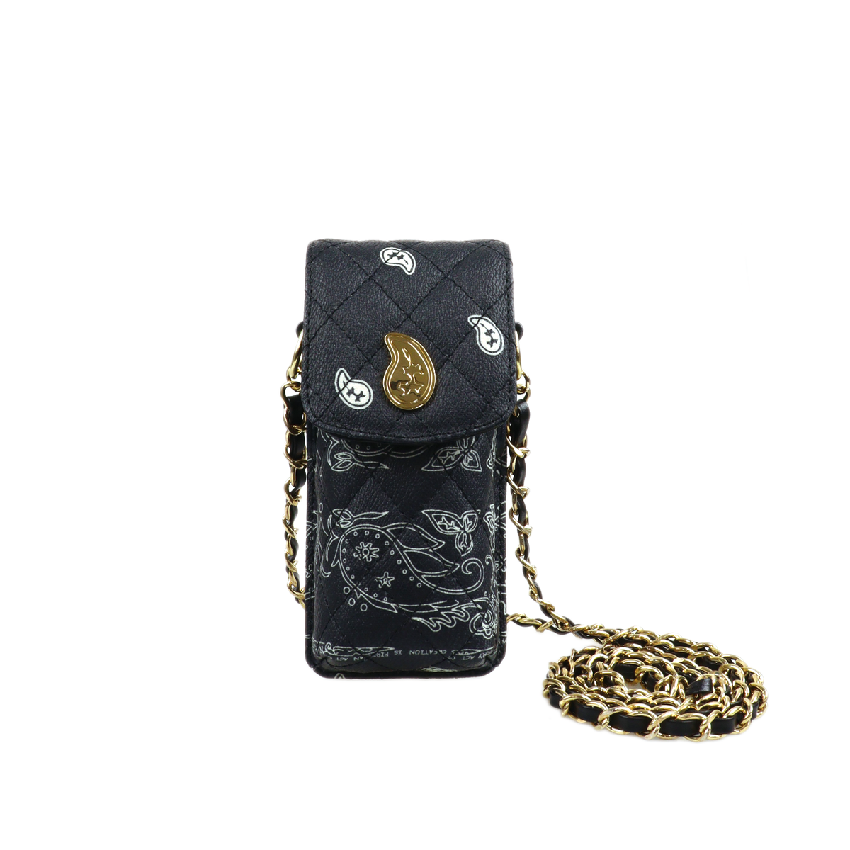Paisley Eyewear Chain Bag
