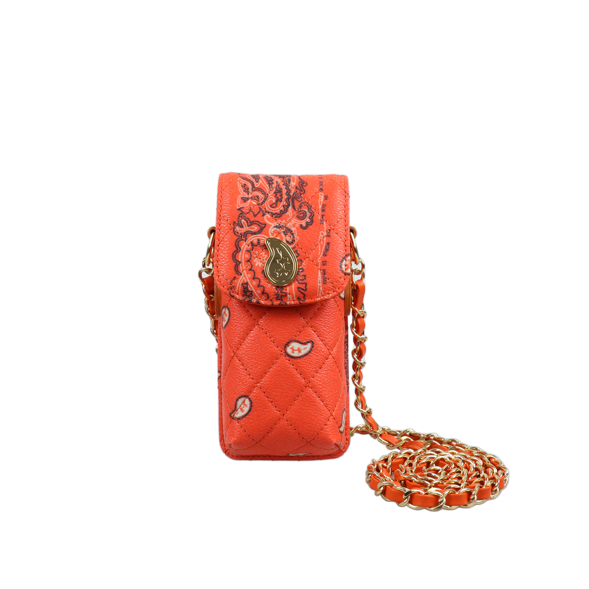 Paisley Eyewear Chain Bag