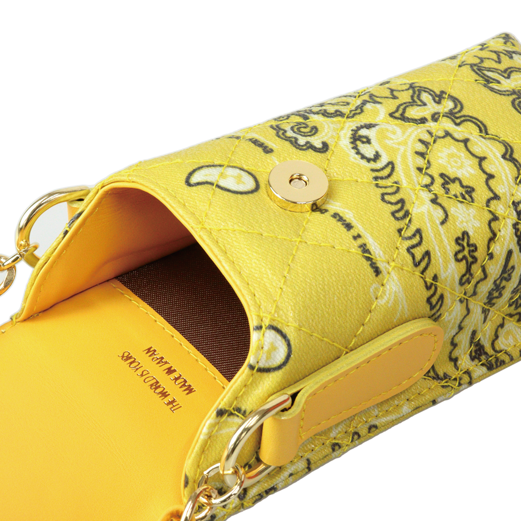 Paisley Eyewear Chain Bag