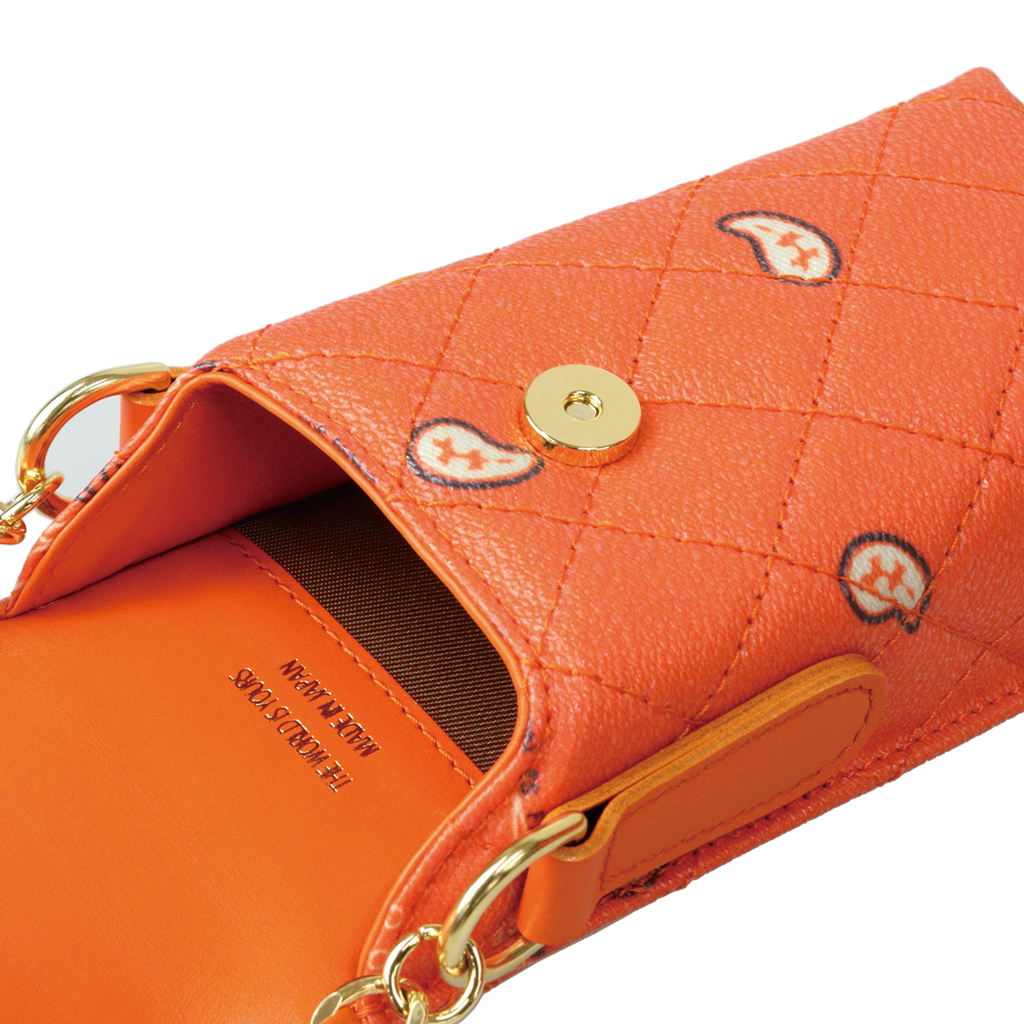 Paisley Eyewear Chain Bag