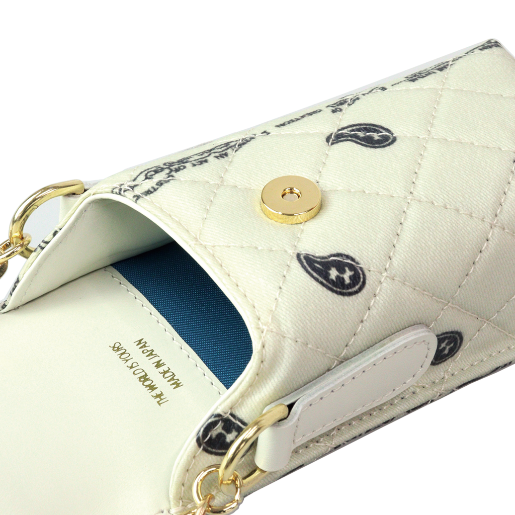 Paisley Eyewear Chain Bag