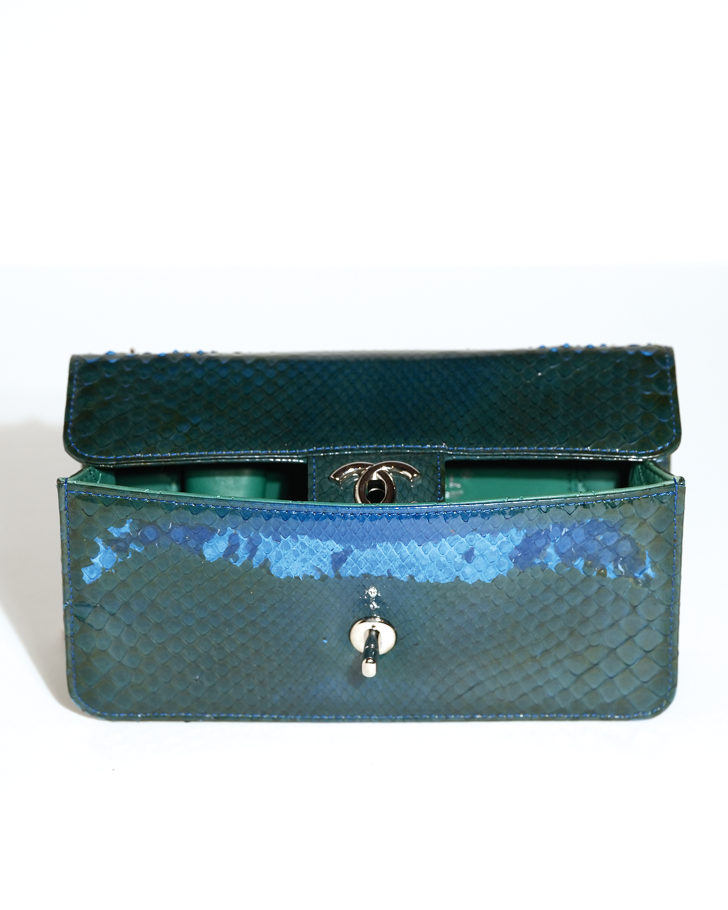 Python Flap Chain Bag